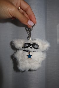 Image 2 of Fluffy Biker Dog