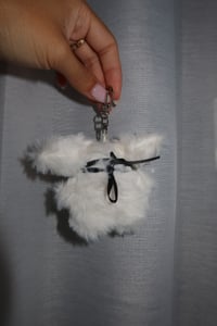 Image 5 of Fluffy Biker Dog
