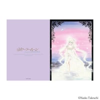 Sailor Moon Raisonné Art Works Exhibit Clear File A
