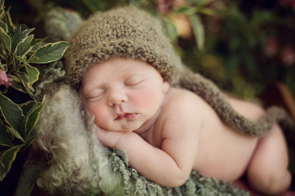 Image of Weekday Newborn Session