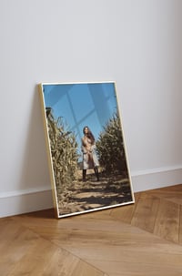 Image 3 of Belle des champs