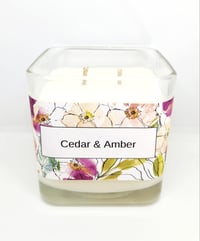 Cedar & Amber