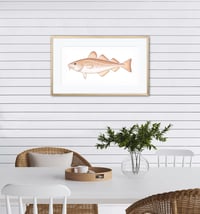 Image 3 of Biggie Atlantic Codfish (Print)