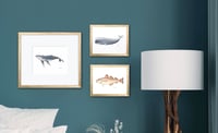 Image 3 of Atlantic Cod Fish, 2023 (Print)