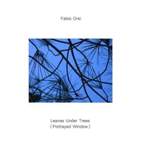 Fabio Orsi - Leaves Under Trees (Portrayed Window) LP one/sided