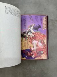 Image 4 of Bloody Ukiyo-e - Suehiro Maruo and Kazuichi Hanawa