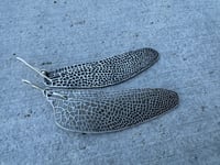 Image 5 of Dragonfly wing earrings