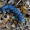 Black Salamander