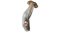 Image 3 of Spore Swab Sets
