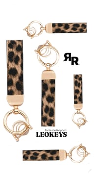Image 5 of LEOKEYS