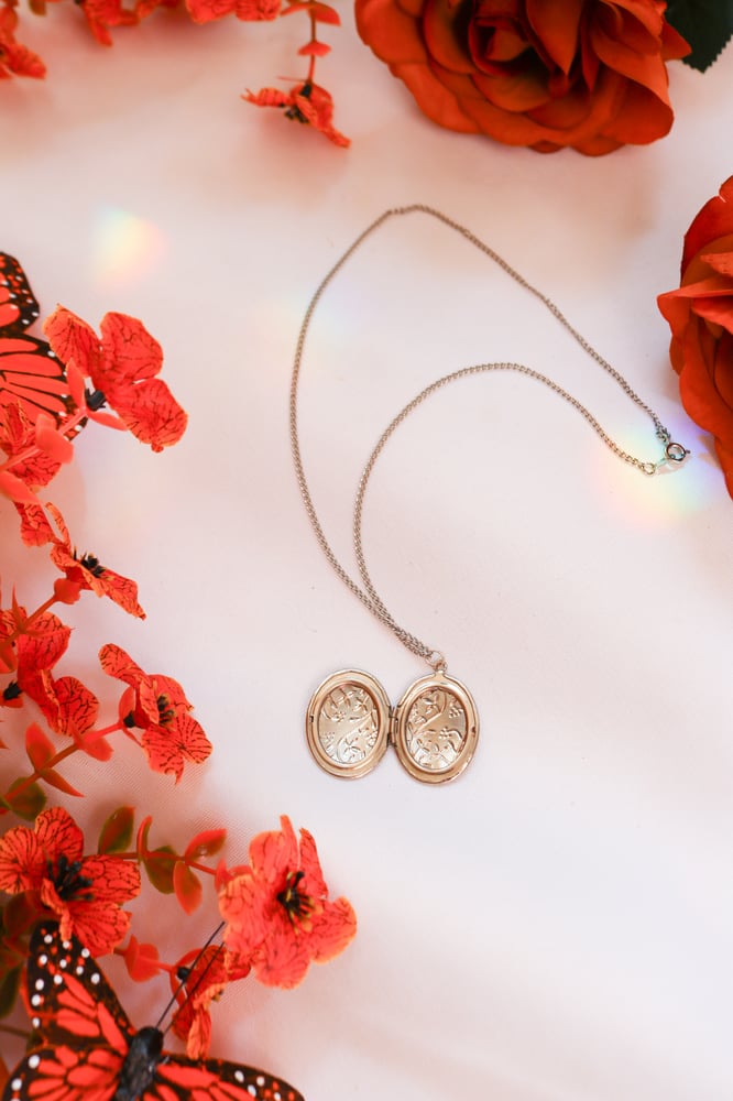 Image of Silver Swirling Vine Locket 