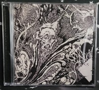 Image 3 of Seraphic Entombment - Sickness Particles Gleam - 2LP, CD