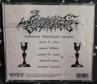 Image 4 of Seraphic Entombment - Sickness Particles Gleam - 2LP, CD
