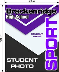 Image 2 of Brackenridge Band Banners