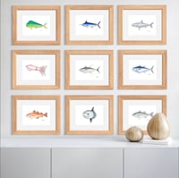 Image 2 of Yellowfin Tuna, 2022 (Print)