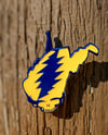 WV Stealie pin