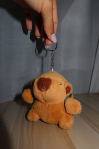 Image 1 of Turtle Capybara