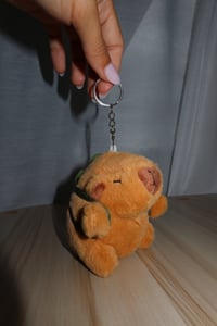 Image 3 of Turtle Capybara