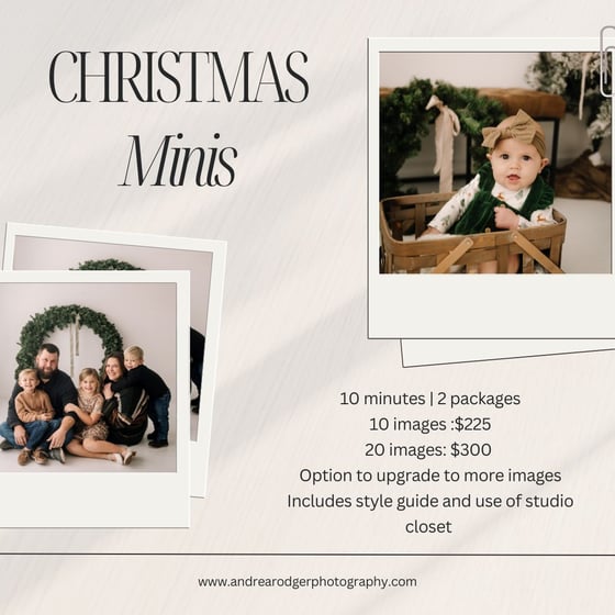 Image of Christmas Minis - Indoor Nov 17th