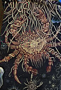 Image 2 of MEDUSAE • CUSTOM TAPESTRY • 72 x 54 Inches! 