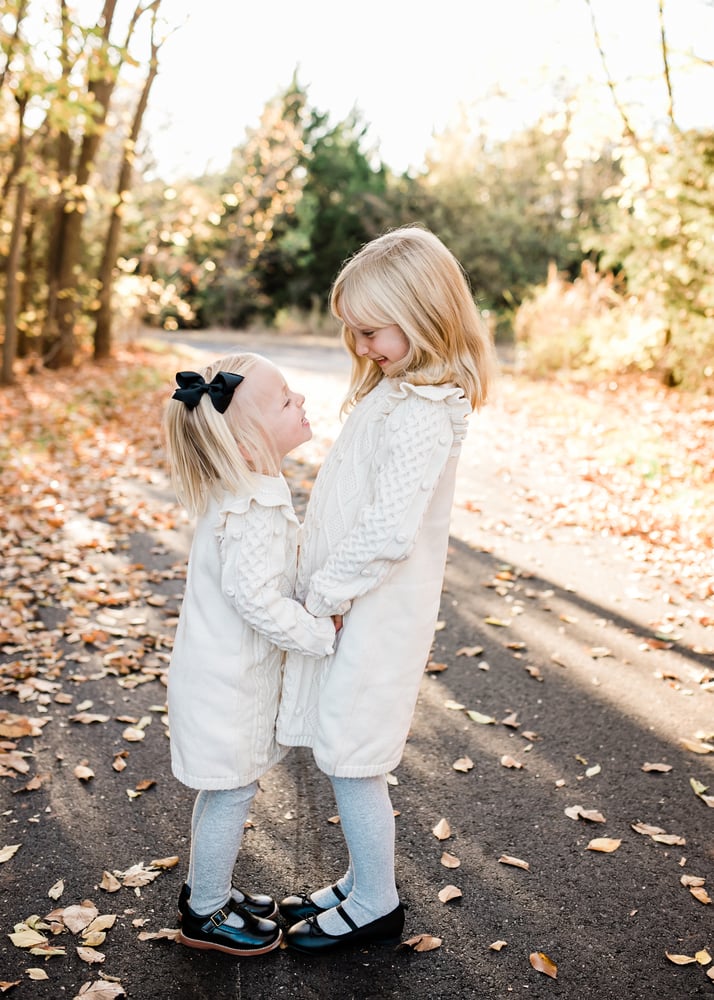 Image of Fall 2024 mini sessions 