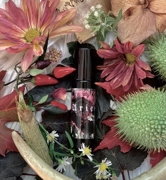 Image of Aries Perfume oil (Black Tea, Dragon's Blood, Amber, Pepper)