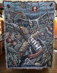 Image 1 of ORB WEAVERS • CUSTOM TAPESTRY • 72 x 54 Inches! 