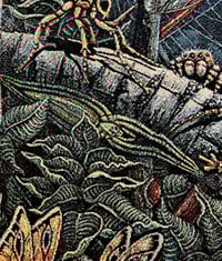 Image 4 of ORB WEAVERS • CUSTOM TAPESTRY • 72 x 54 Inches! 