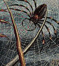 Image 8 of ORB WEAVERS • CUSTOM TAPESTRY • 72 x 54 Inches! 