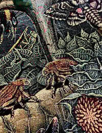 Image 9 of ORB WEAVERS • CUSTOM TAPESTRY • 72 x 54 Inches! 