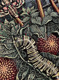 Image 10 of ORB WEAVERS • CUSTOM TAPESTRY • 72 x 54 Inches! 