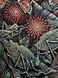 Image 11 of ORB WEAVERS • CUSTOM TAPESTRY • 72 x 54 Inches! 
