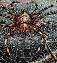 Image 13 of ORB WEAVERS • CUSTOM TAPESTRY • 72 x 54 Inches! 