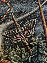 Image 15 of ORB WEAVERS • CUSTOM TAPESTRY • 72 x 54 Inches! 