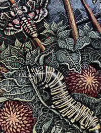 Image 16 of ORB WEAVERS • CUSTOM TAPESTRY • 72 x 54 Inches! 