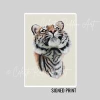 Image 1 of Curious Gaze Signed Print