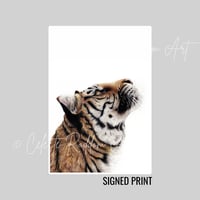 Look to the sky Signed Print