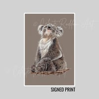 Totally Koalafied Signed Print