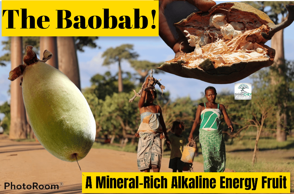 LEMONY CHELLO! AFRICAN BAOBAB FRUIT 3 oz.- Poisoning-Fever-Viruses-Painkiller-Aphrodisiac-Heart-