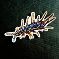 Dragon Springtail - Large premium art sticker 