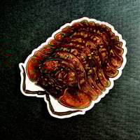 Native Isopod - Large premium art sticker