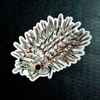 Spiky Isopod - Large premium art sticker