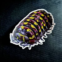 Isopod - Large premium art sticker