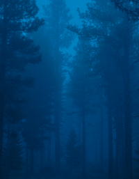 Image 2 of Greg Kahn | Lubrecht Twilight
