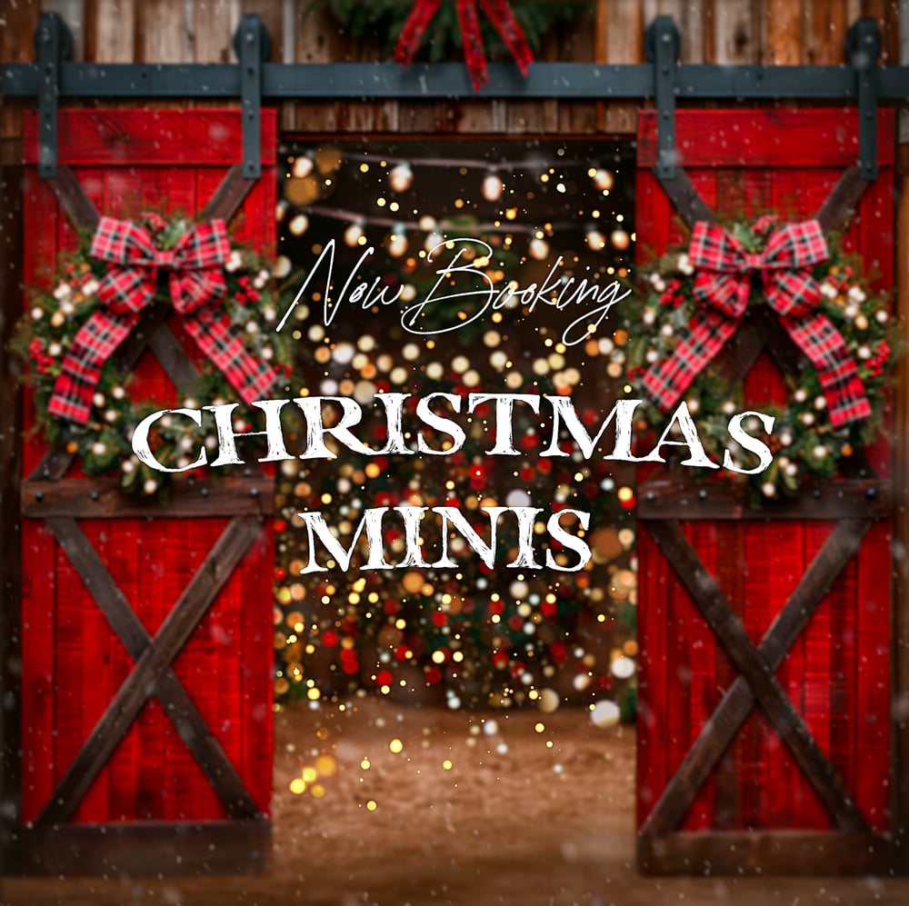 Image of SATURDAY OCTOBER 26TH - CHRISTMAS MINIS