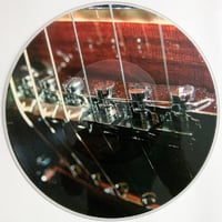 Fear Falls Burning - We Slowly Lift Ourselves From Dust 10" Picture Disc