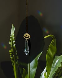 Image 5 of Atrapaluces Lágrima