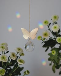 Image 1 of Atrapaluces Mariposa