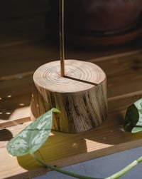 Image 5 of Atrapaluces Tierra