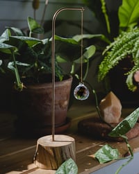 Image 6 of Atrapaluces Tierra